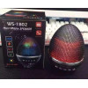 Акумуляторна бездротова портативна колонка WS-1802 з функцією Bluetooth, FM радіо, зі світломузкою