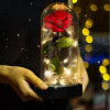 Троянда в колбі з LED-підсвіткою 20 см, Червона, на батарейках/Нічник Вічна троянда/Квітка в колбі