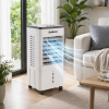 Напольный охладитель DKNS DH2025-01A 10л/3800w