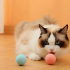 Іграшка для кішок Stress Cat/ Кулька із силовою гравітацією, який сам катається для котів і кошенят LY-599