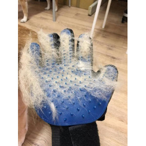 Рукавичка для вичісування шерсті True Touch, Тру Тач, Pet Glove