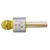 УЦІНКА! Мікрофон караоке WSTER ART: WS-858 Bluetooth USB AUX FM GOLD (Ржавиця на корпусі 2385)