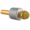 УЦІНКА! Мікрофон караоке WSTER ART: WS-858 Bluetooth USB AUX FM GOLD (Ржавиця на корпусі 2385)