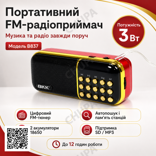 Портативний FM-радіоприймач колонка з цифровим тюнером BKK USB/MP3 B851