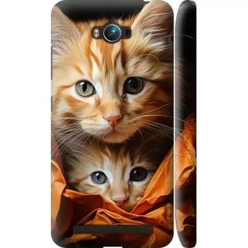 Чехол на Asus ZenFone Max ZC550KL Котики 2