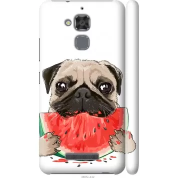 Чехол на Asus Zenfone 3 Max ZC520TL Мопс и арбуз