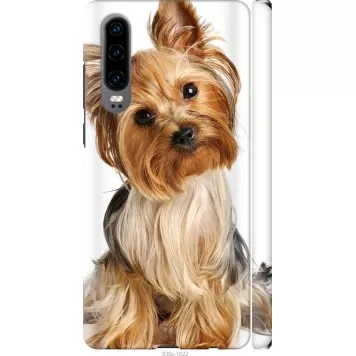 Чехол на Huawei P30 Йоркширский терьер с хвостиком