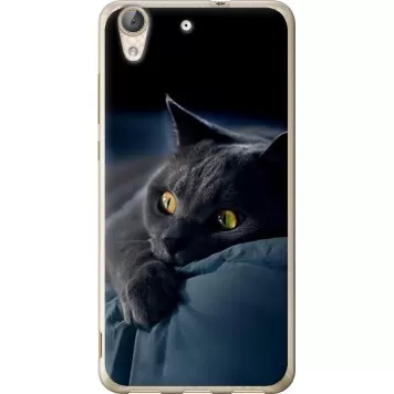Чехол на Huawei Y6 II Дымчатый кот