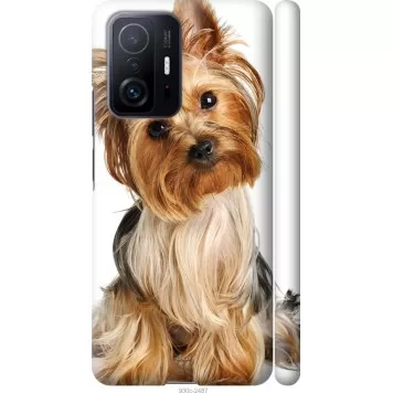 Чохол на Xiaomi 11T Pro Йоркширський тер'єр із хвостиком