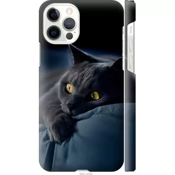 Чехол на iPhone 12 Pro Дымчатый кот