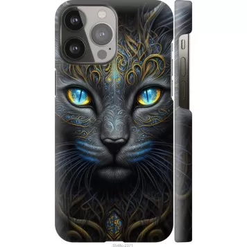 Чехол на iPhone 13 Pro Max Кошка