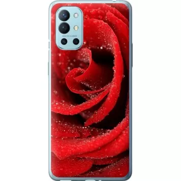 Чехол на OnePlus 9R Красная роза