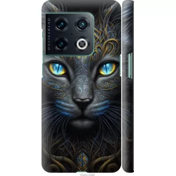Чехол на OnePlus 10 Pro Кошка