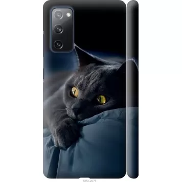 Чохол на Samsung Galaxy S20 FE G780F Димчастий кіт