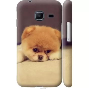 Чохол на Samsung Galaxy J1 Mini J105H Boo 2