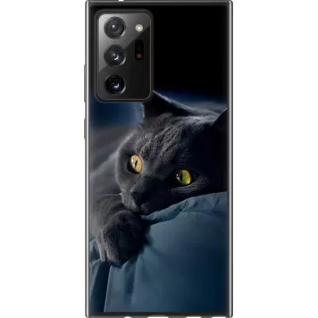 Чехол на Samsung Galaxy Note 20 Ultra Дымчатый кот