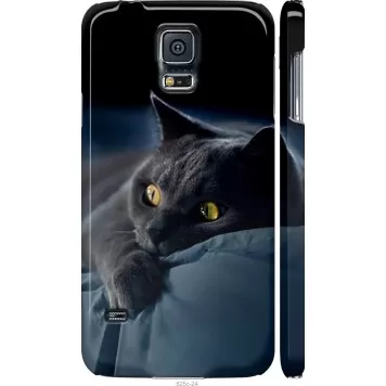 Чехол на Samsung Galaxy S5 g900h Дымчатый кот