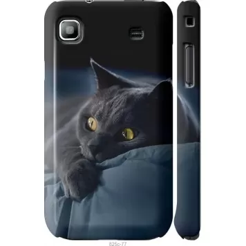 Чехол на Samsung Galaxy S i9000 Дымчатый кот