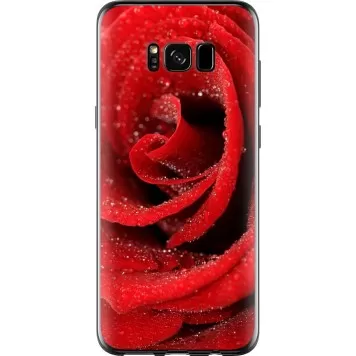 Чохол на Samsung Galaxy S8 Червона троянда