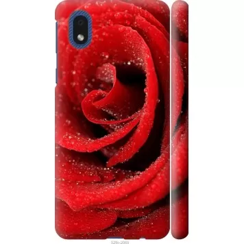Чехол на Samsung Galaxy A01 Core A013F Красная роза