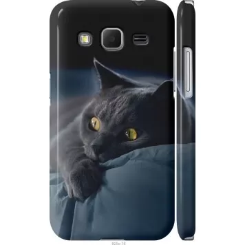 Чехол на Samsung Galaxy Core Prime G360H Дымчатый кот